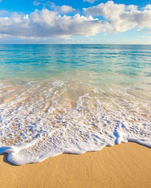 Природа море