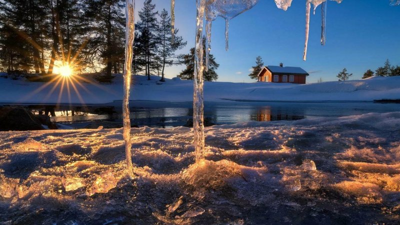 Оттепель зимой лес