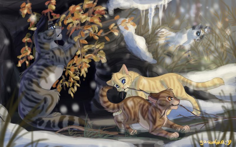 Коты Воители фон