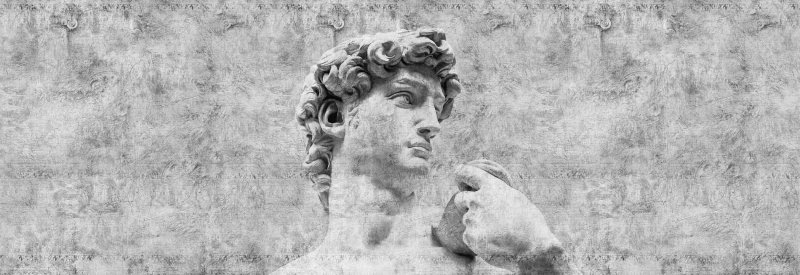 Фотообои Давид Микеланджело