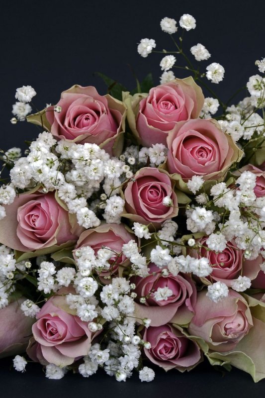 Шикарные цветы