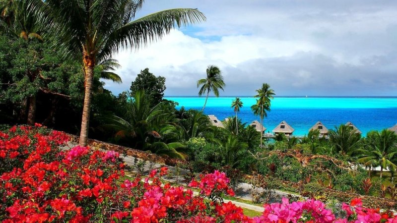 Тропические острова Карибского моря