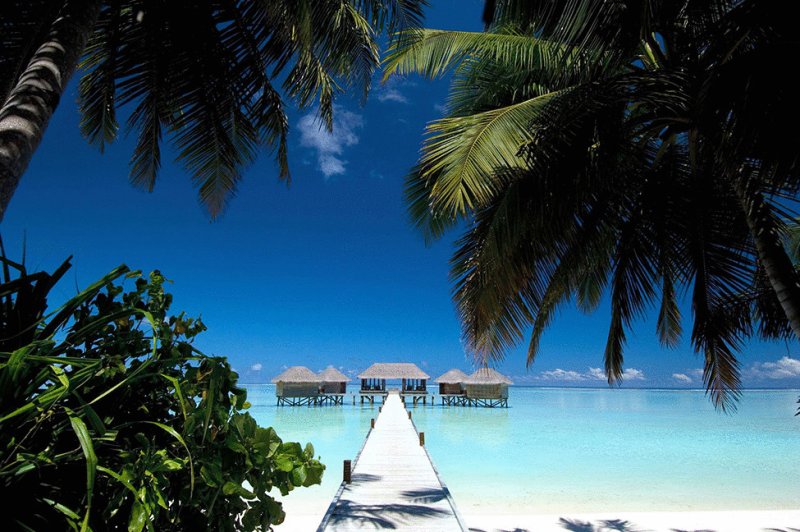 Мальдивы, океан, пальмы, бунгало