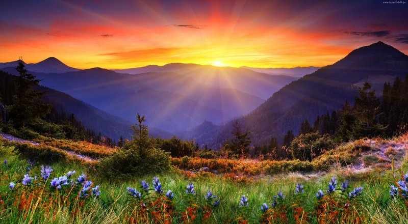 Телевизор Томсон t40fsl5130