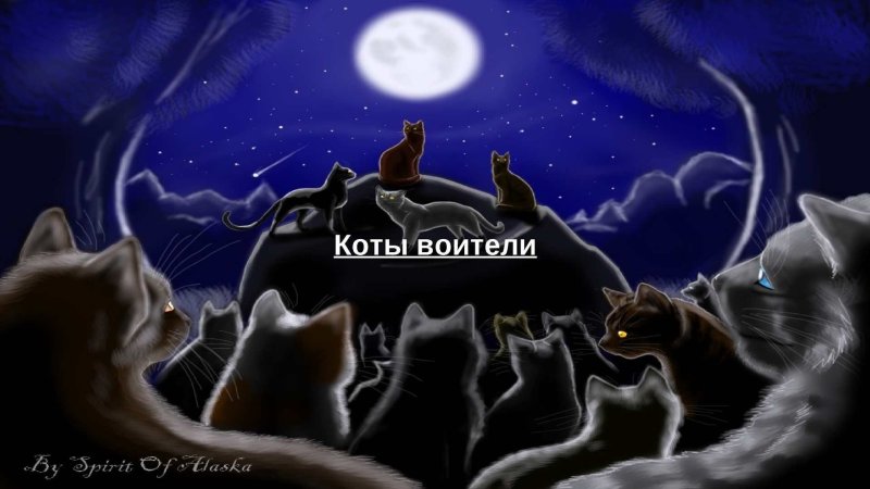 Обои с котами воителями