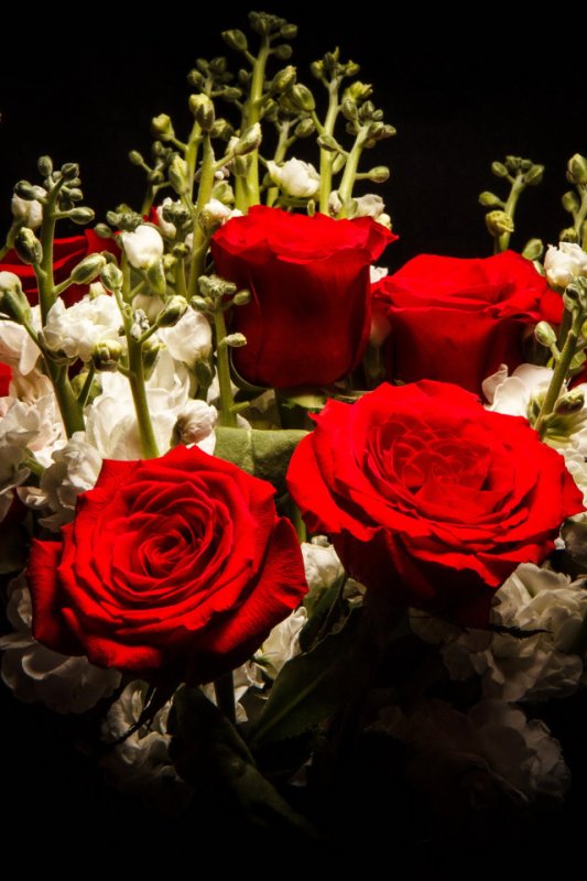 Красивый букет роз