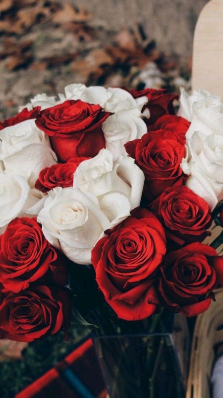 Шикарный букет цветов