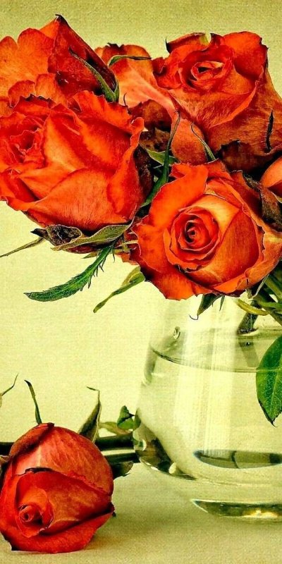 Красивый букет роз в вазе