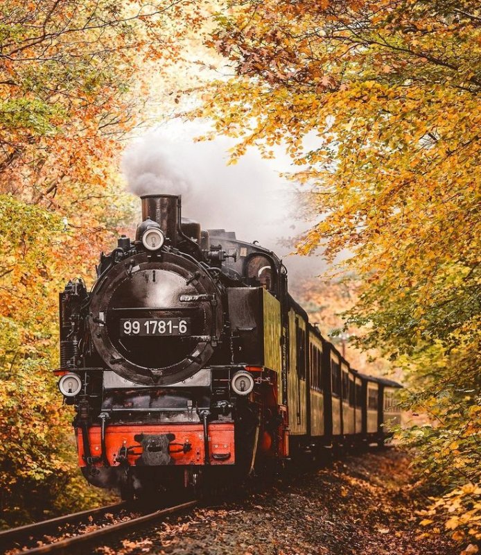 Локомотив поезд