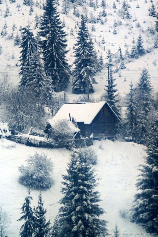 Зимние заставки на телефон