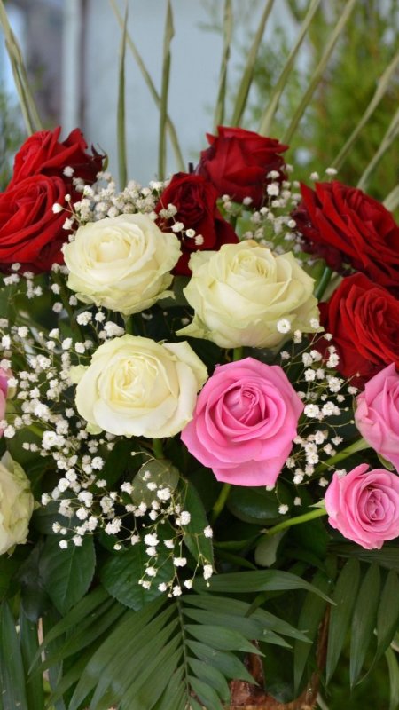 Шикарные цветы