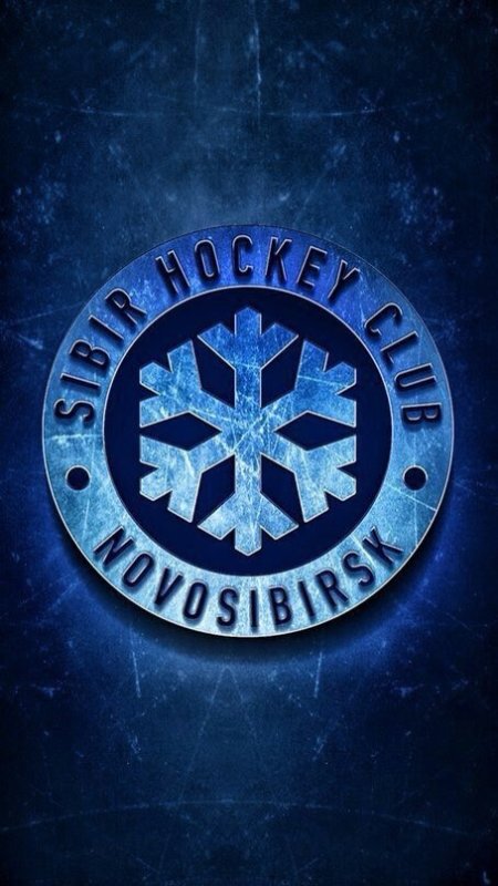 Хк Сибирь эмблема