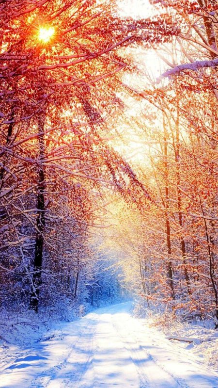 Зима солнце