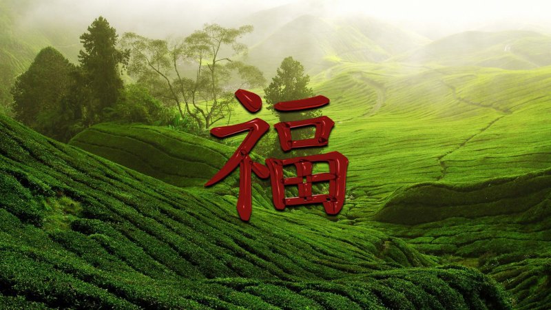 Иероглиф богатство