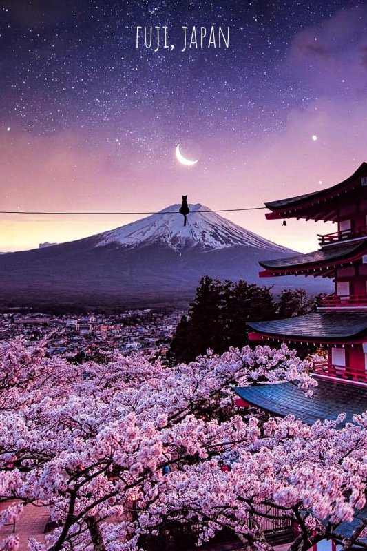 Токио Фудзияма