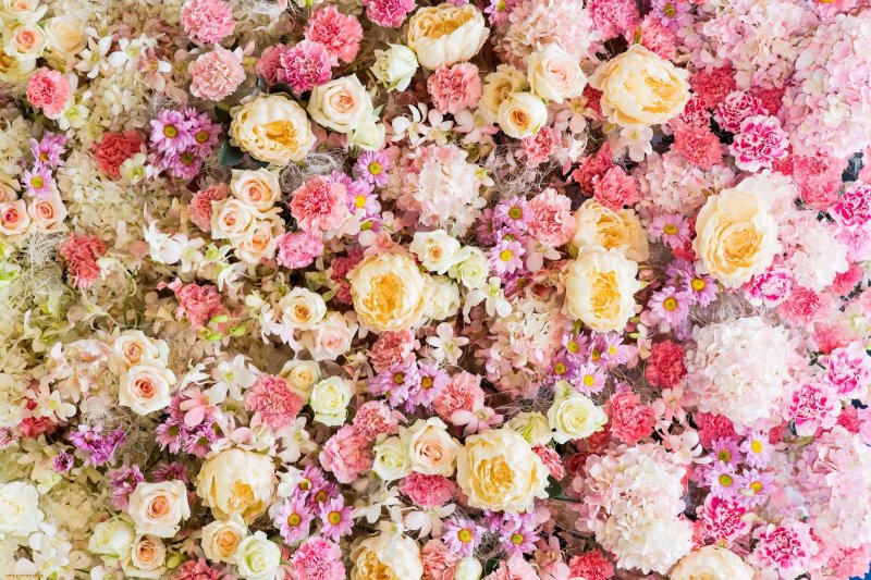 Много цветов