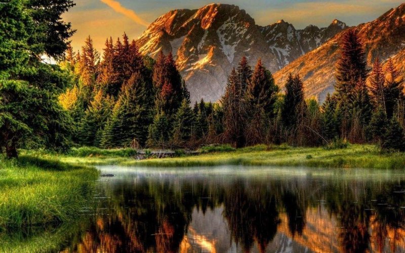 Красивая природа