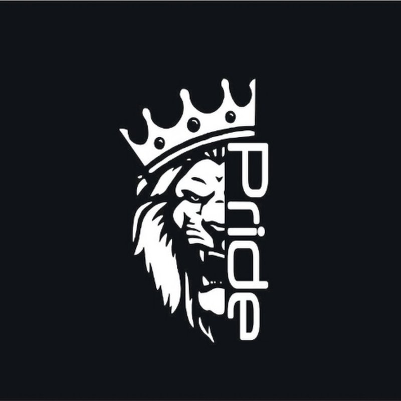 Pride car Audio наклейка