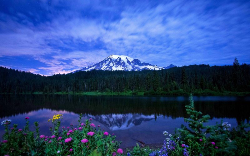 Красивая природа