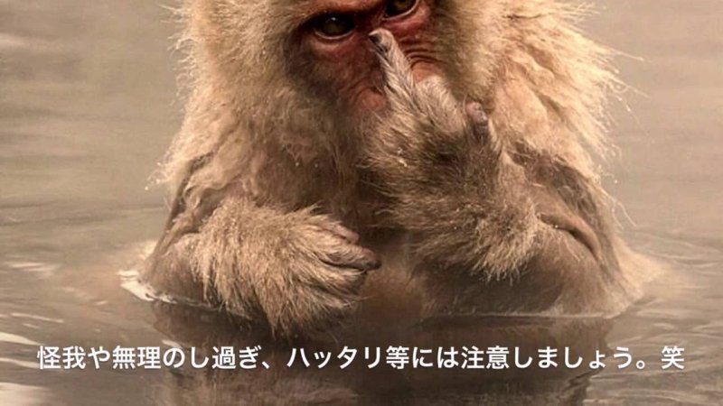 Грустная обезьянка