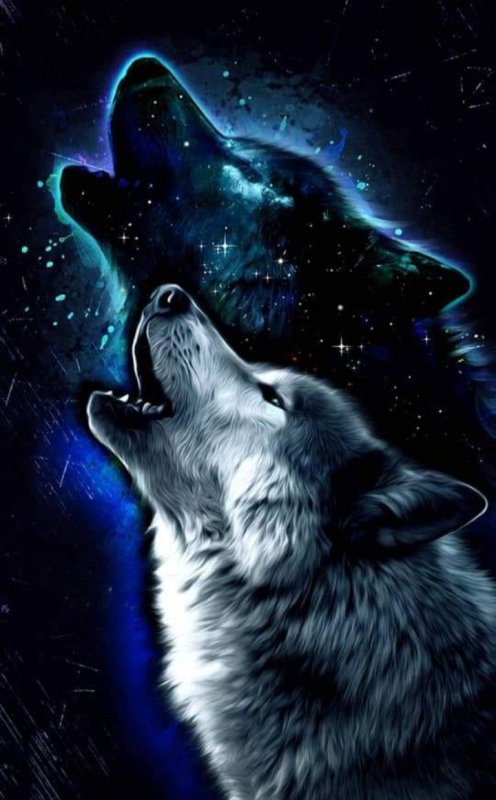 Заставка на телефон волк
