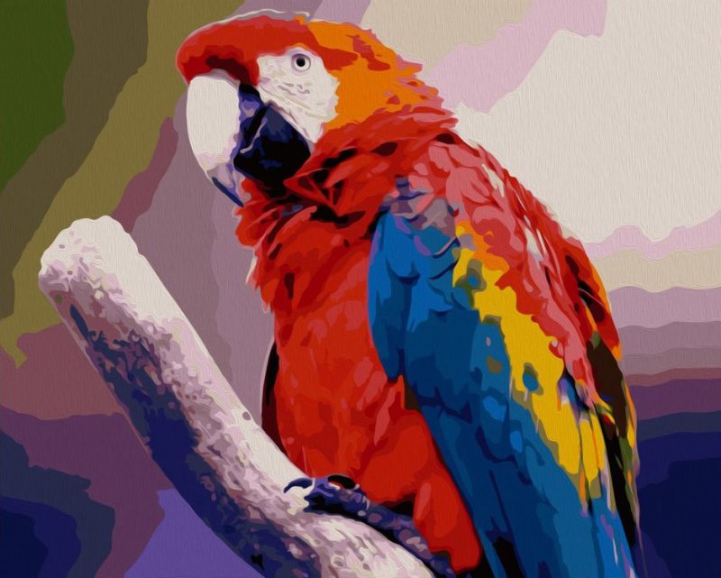Попугай ара