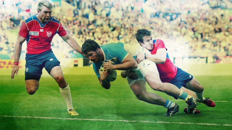 Фотообои регби