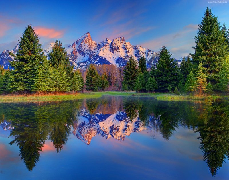 Красивая природа