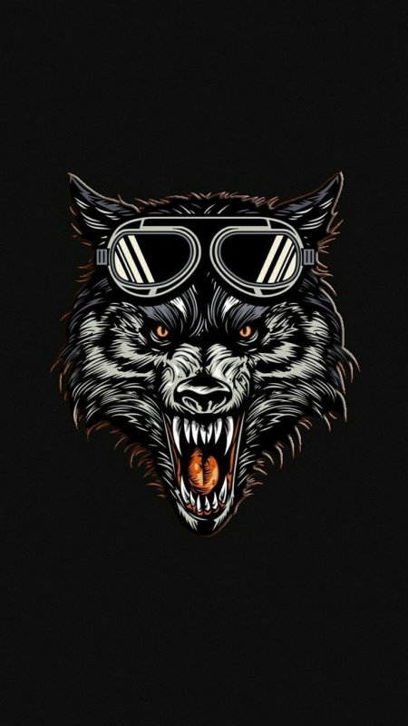 Оскал волка на заставку