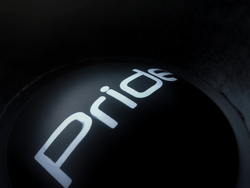 Прайд логотип