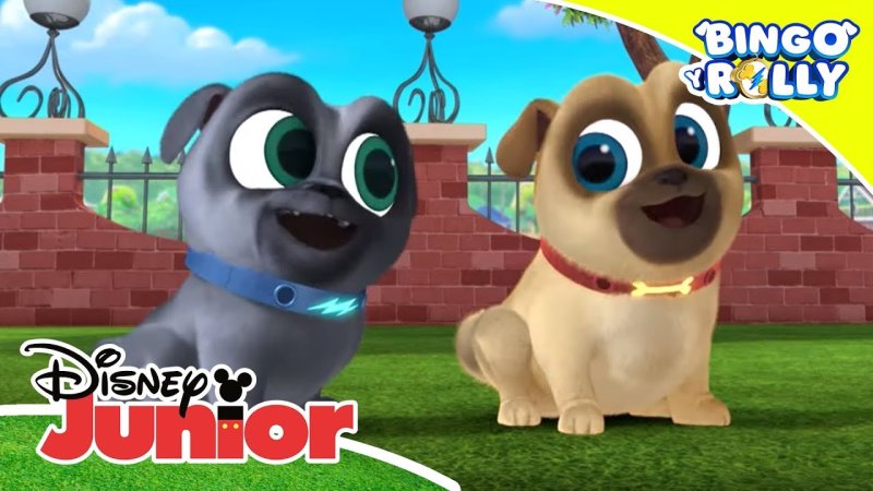 Бинго и Лолли с Бобом