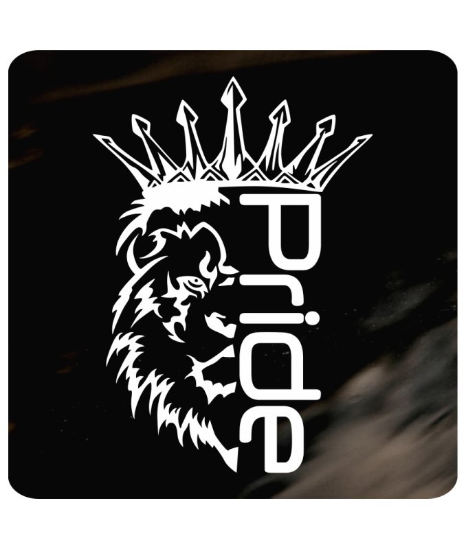 Pride car Audio наклейка