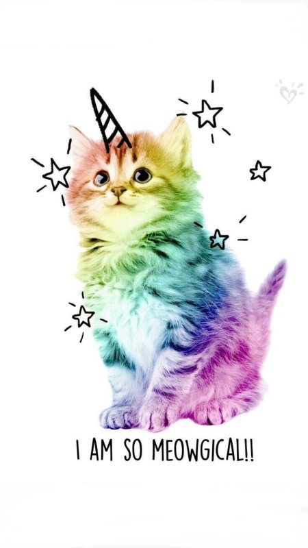 Кот Единорог