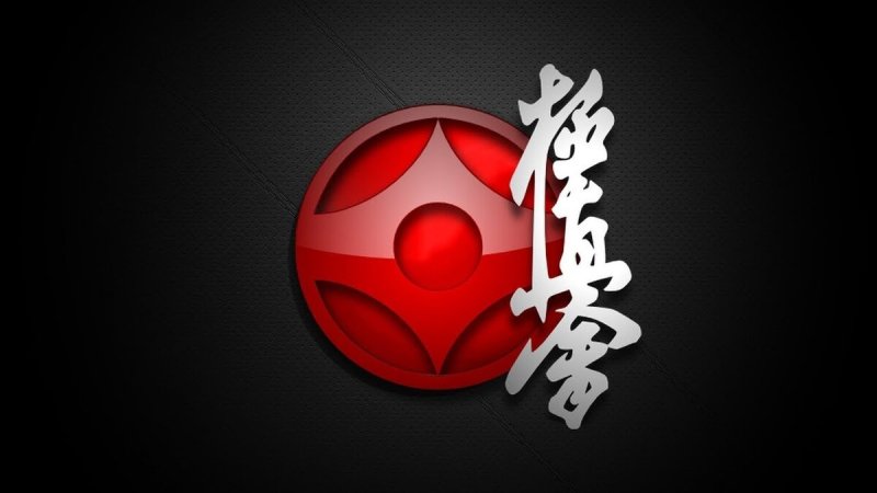 Киокушинкай каратэ каратист