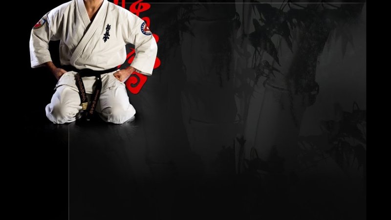 Киоко Синкай карате