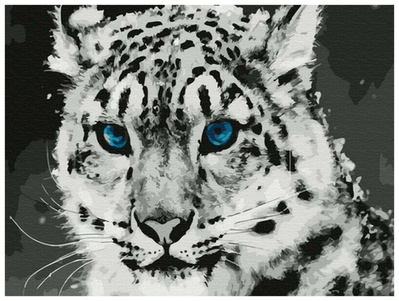 Красивые картинки хорошего качества