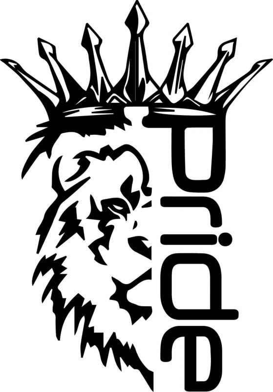 Наклейка Прайд кар аудио