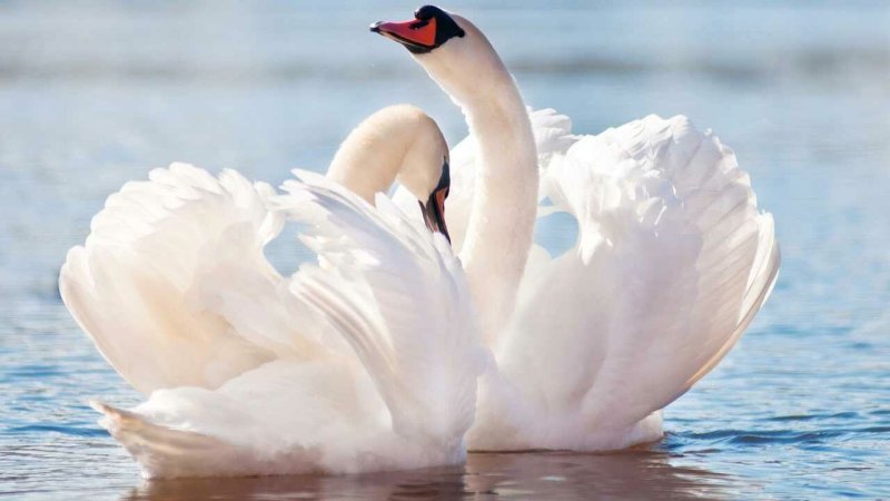 Красивые картинки