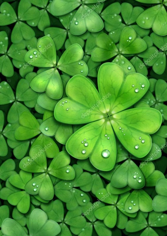 Четырёхлистный Клевер на удачу