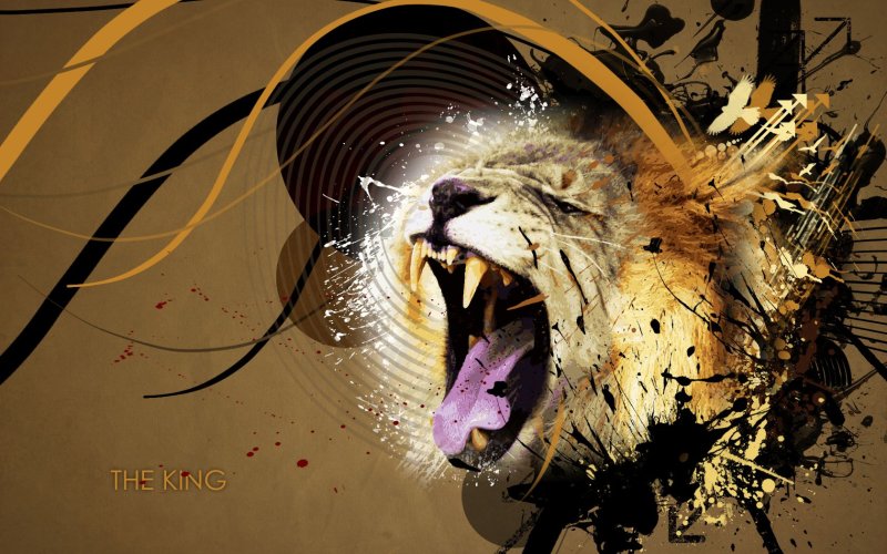 Обои на рабочий стол Кинг