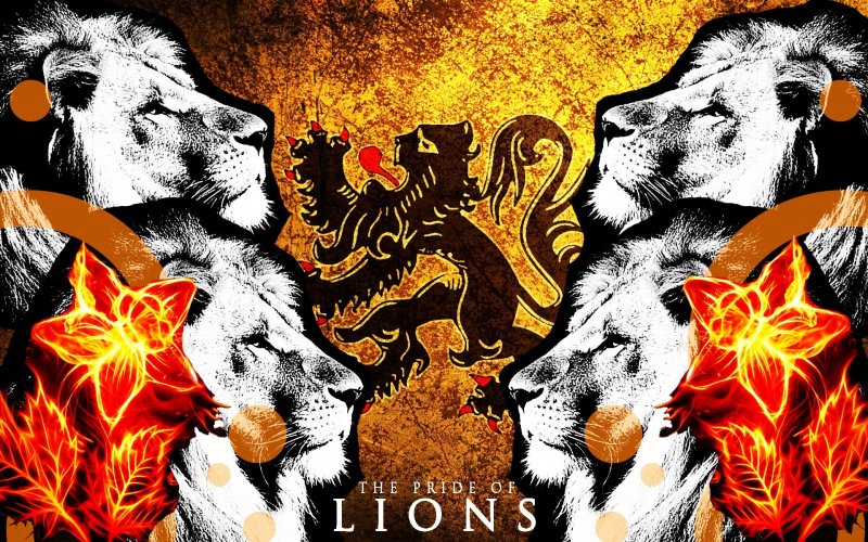 Прайд Львов арты