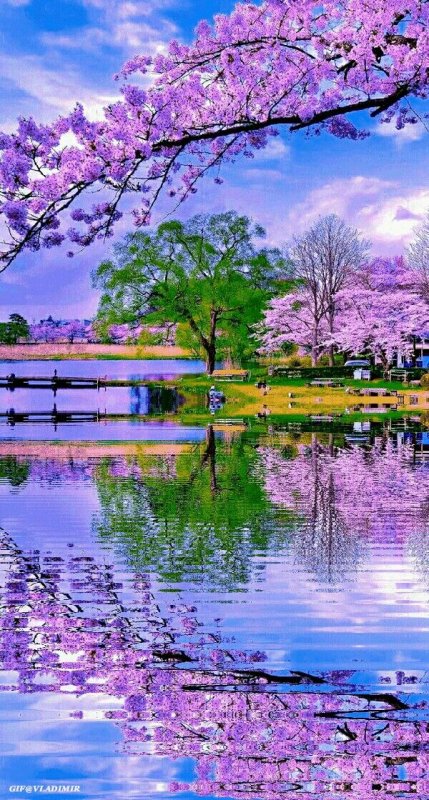 Красивая Весна