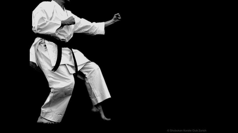 Киокушинкай каратэ каратист