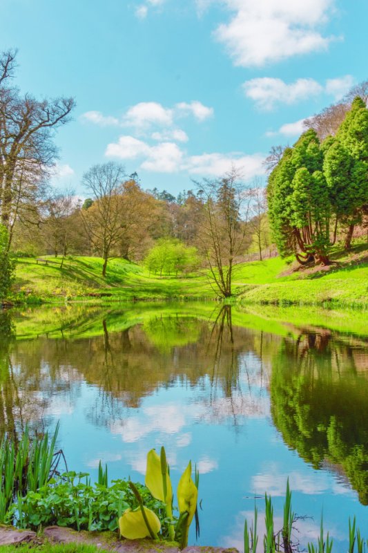 Красивый летний пейзаж