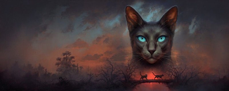 Обои на рабочий стол коты Воители