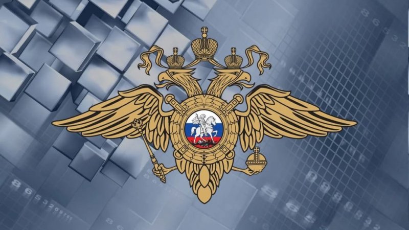 Министерство МВД РФ