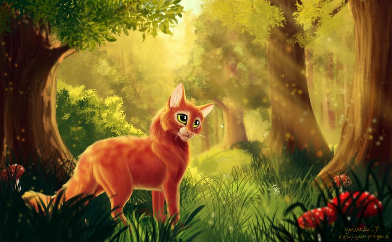 Коты Воители Огнезвёзд