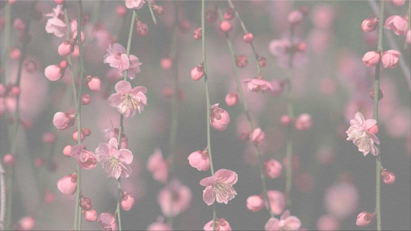 Красивый нежный фон