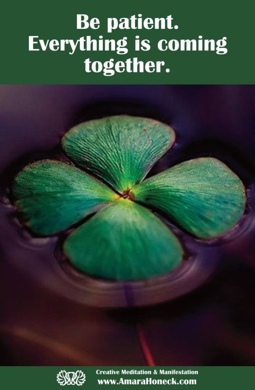 Четырехлистный Клевер Эстетика