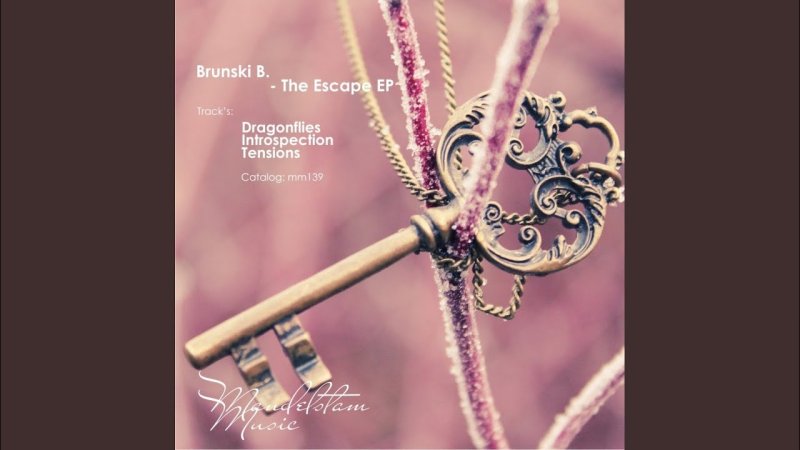 Красивые обои на телефон